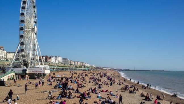 Stretch-n-Grow Brighton